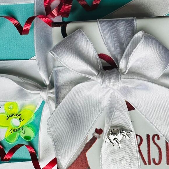 NEW Tiffany Save the Wild Lion pendant/charm, mini - Picture 2 of 4